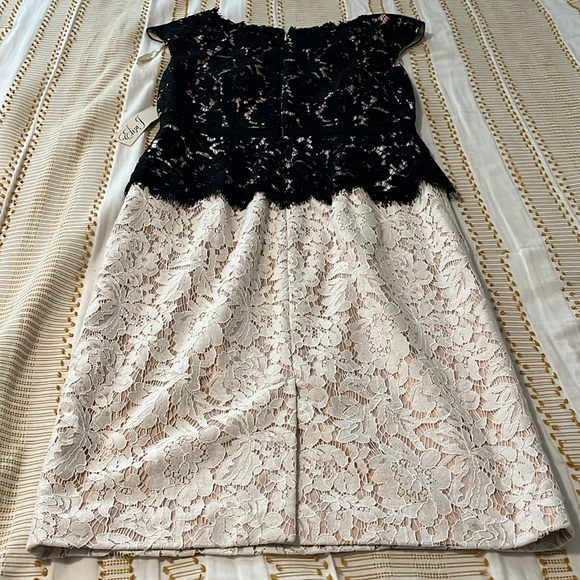 Lace cocktail dress NWT - Picture 3 of 5